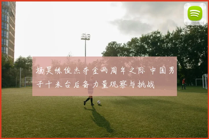 杨昊练俊杰夺金两周年之际 中国男子十米台后备力量观察与挑战