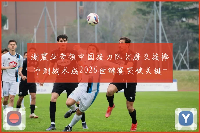 谢震业带领中国接力队打磨交接棒 冲刺战术成2026世锦赛突破关键