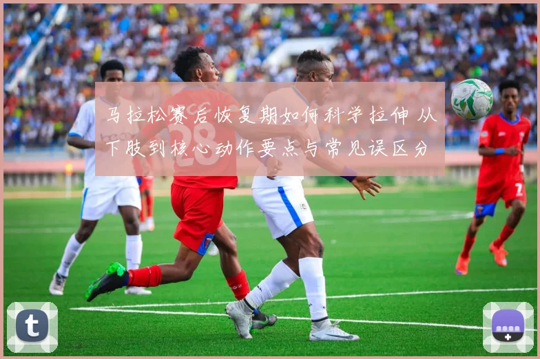 马拉松赛后恢复期如何科学拉伸 从下肢到核心动作要点与常见误区分析