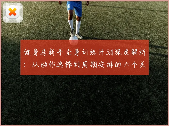 健身房新手全身训练计划深度解析：从动作选择到周期安排的六个关键要点