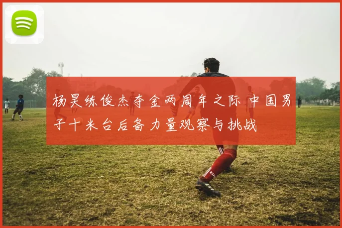 杨昊练俊杰夺金两周年之际 中国男子十米台后备力量观察与挑战